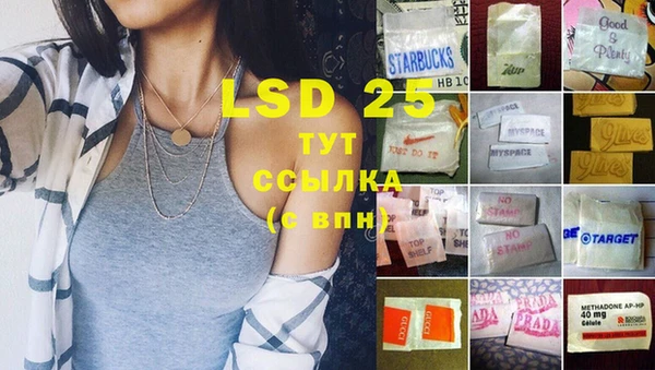 крисы Ветлуга
