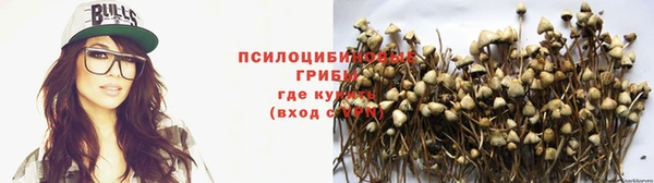 прущий лед Балахна