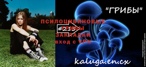дживик Богородицк