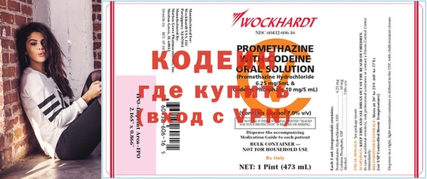 дживик Богородицк