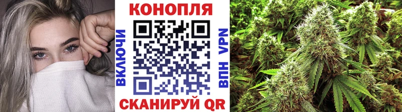 Бошки Шишки семена  Верхняя Салда 
